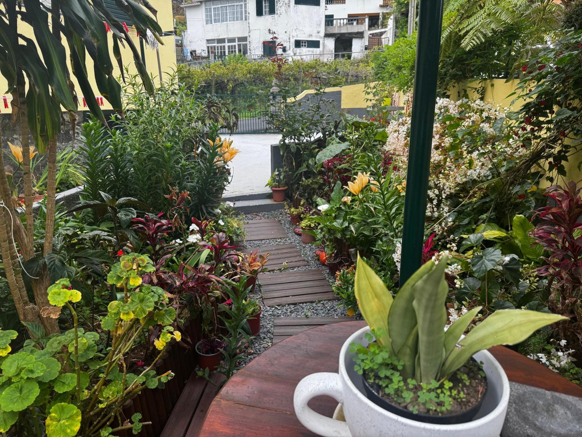 Terra Cha Cottage,Feel Home, Сан-Висенти Экстерьер фото