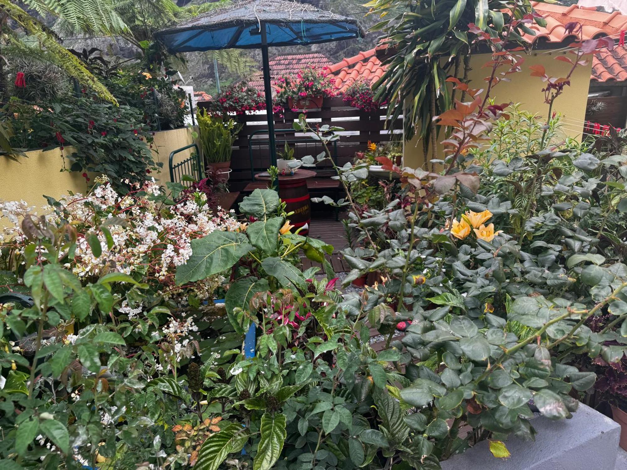 Terra Cha Cottage,Feel Home, Сан-Висенти Экстерьер фото